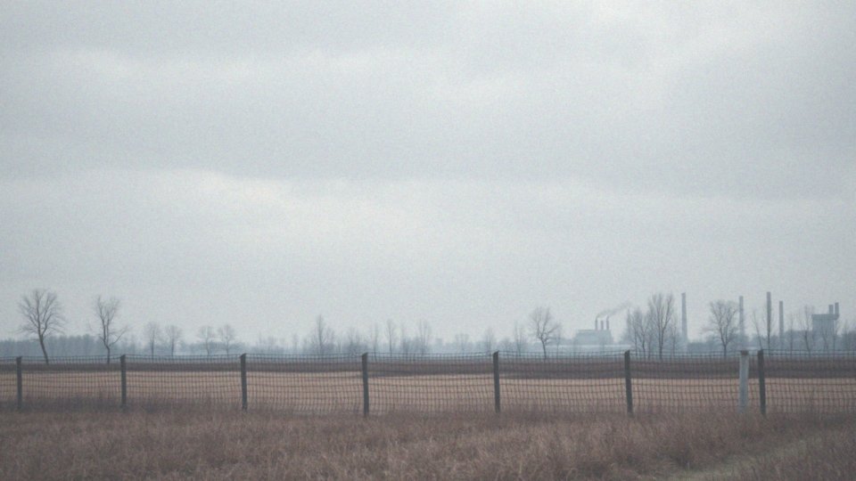 Jakie są przyczyny raka płuc?