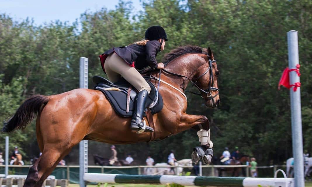 Jazda Konna Starogard Gdański